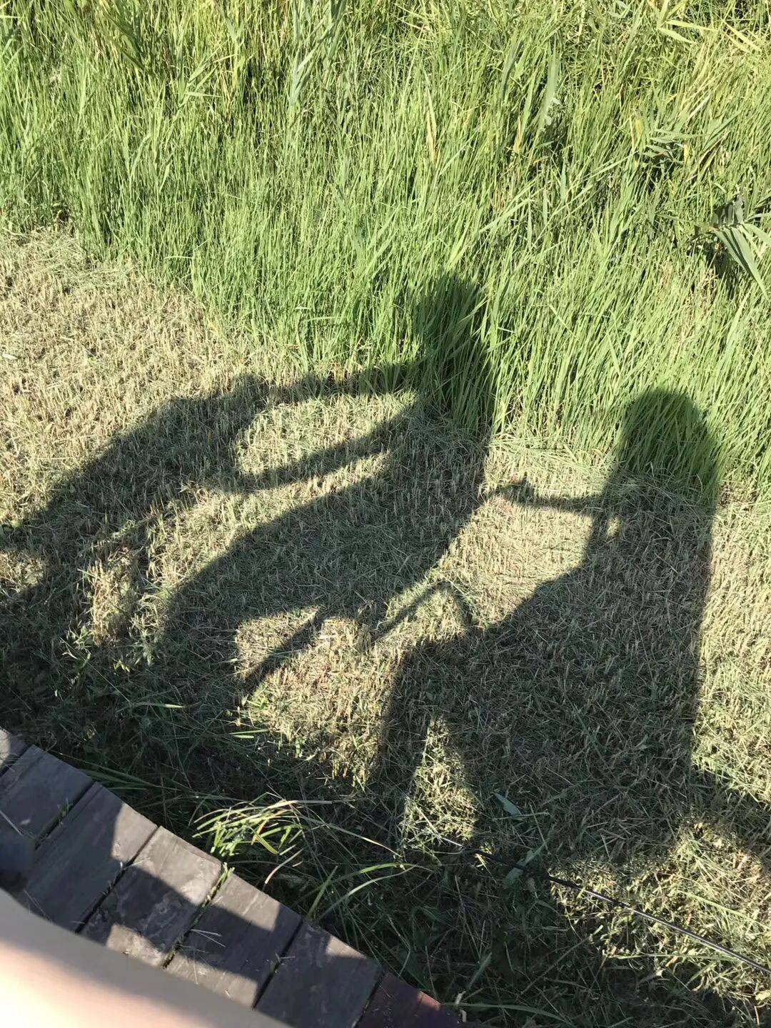 纸质火车票退场<strong></p>
<p>币安注册</strong>,每道折痕里都藏着远方、爱情与山河记忆