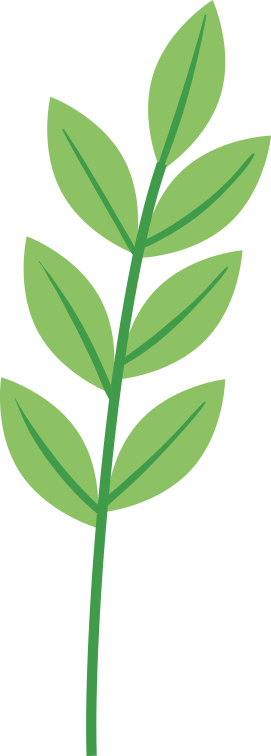 进口食品安全知识问答