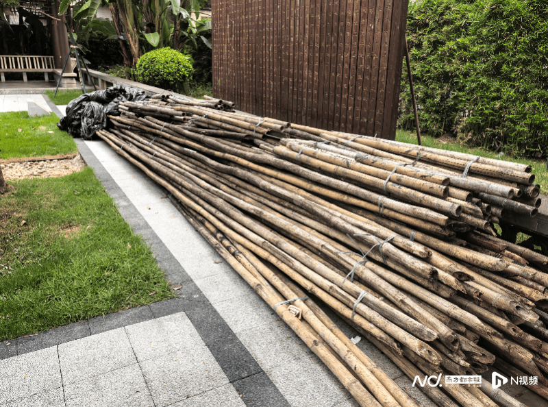 暗访回头看:广州口袋公园乱象整改成效如何<strong></p>
<p>币安注册</strong>?记者再探