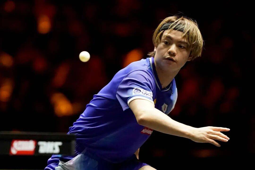 王艺迪完胜桥本<strong></p>
<p>币安交易平台</strong>,向鹏挺进8强 | WTT中国大满贯单打