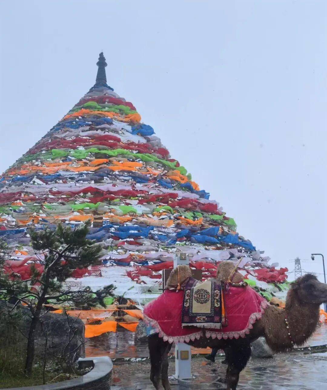 多地突降大雪<strong></p>
<p>币安交易平台</strong>!