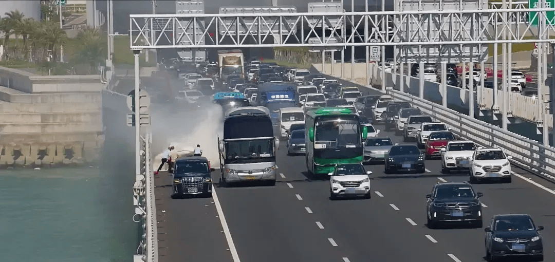 粤B·97821D、粤Z·AG85澳、粤T·91736<strong></p>
<p>币安网址</strong>,你们被拍下来了!