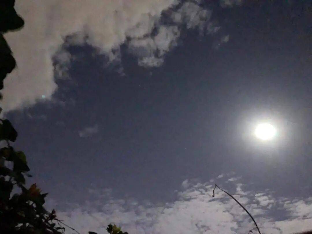 没有什么能阻挡！今天<strong></p>
<p>币安网址</strong>，广西人就是要回家！