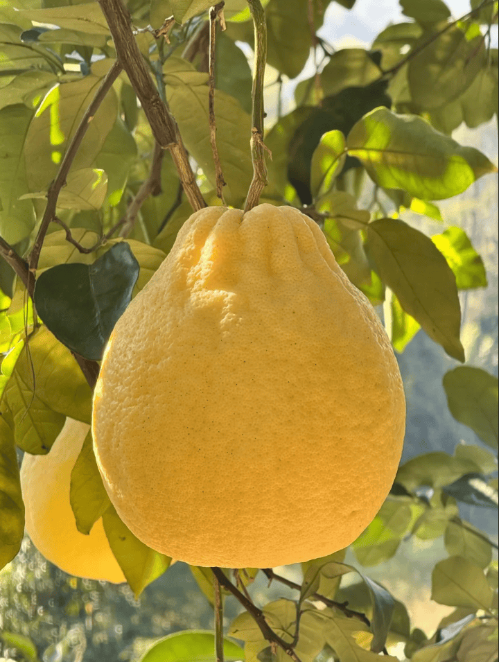 没有什么能阻挡！今天<strong></p>
<p>币安网址</strong>，广西人就是要回家！