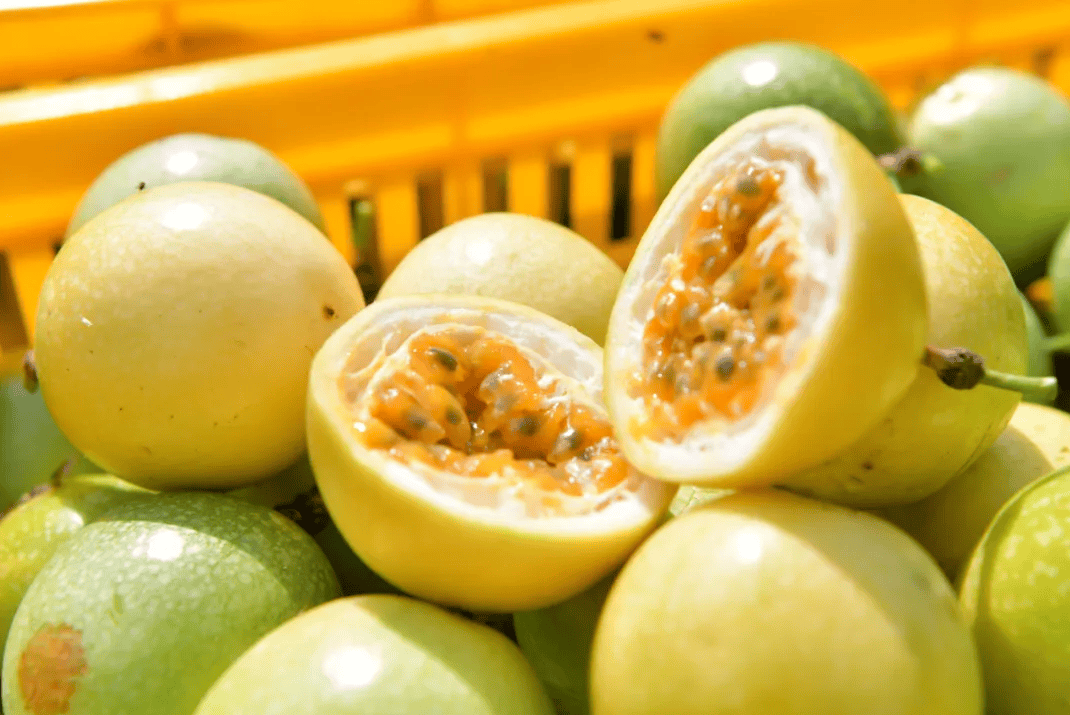 没有什么能阻挡！今天<strong></p>
<p>币安网址</strong>，广西人就是要回家！