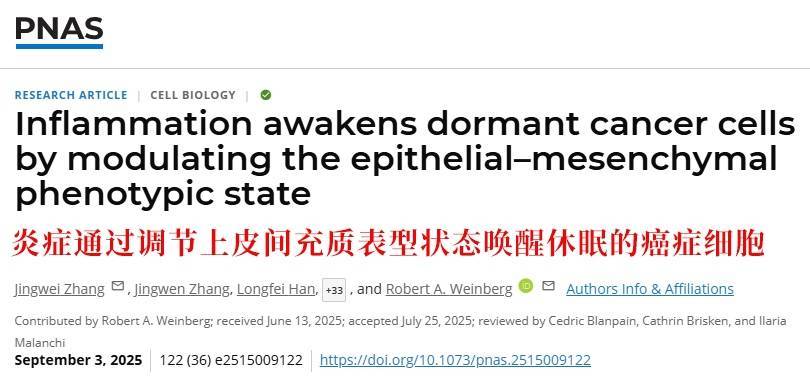 长期炎症会“唤醒”癌细胞<strong></p>
<p>币安网址</strong>！这份抗炎指南每个人都该看看