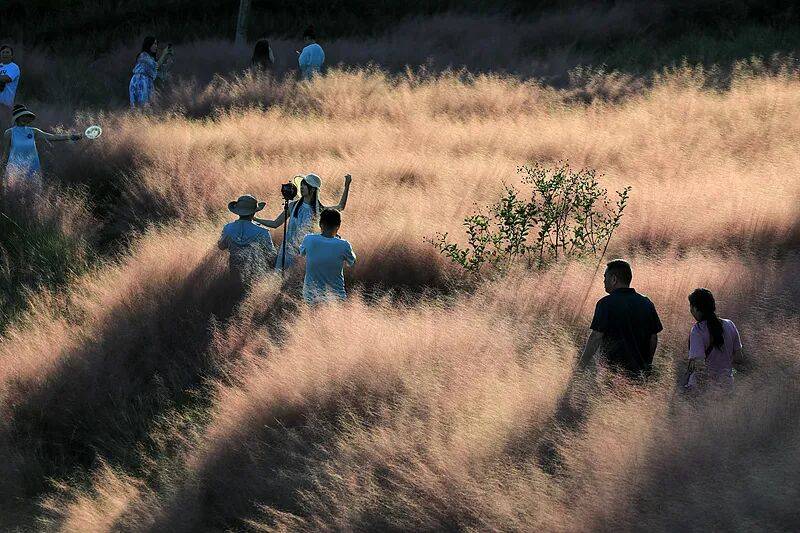 打卡拍照<strong></p>
<p>币安交易所官网</strong>,再美也不能用生命对焦