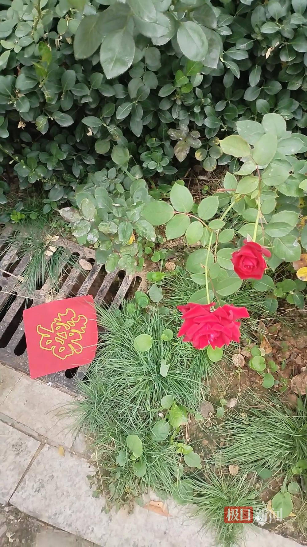 山西婚礼要在下水道井盖贴“喜”字?有的井盖被贴了8张<strong></p>
<p>币安交易所官网</strong>,当地居民:寓意不踩坑、驱晦迎喜