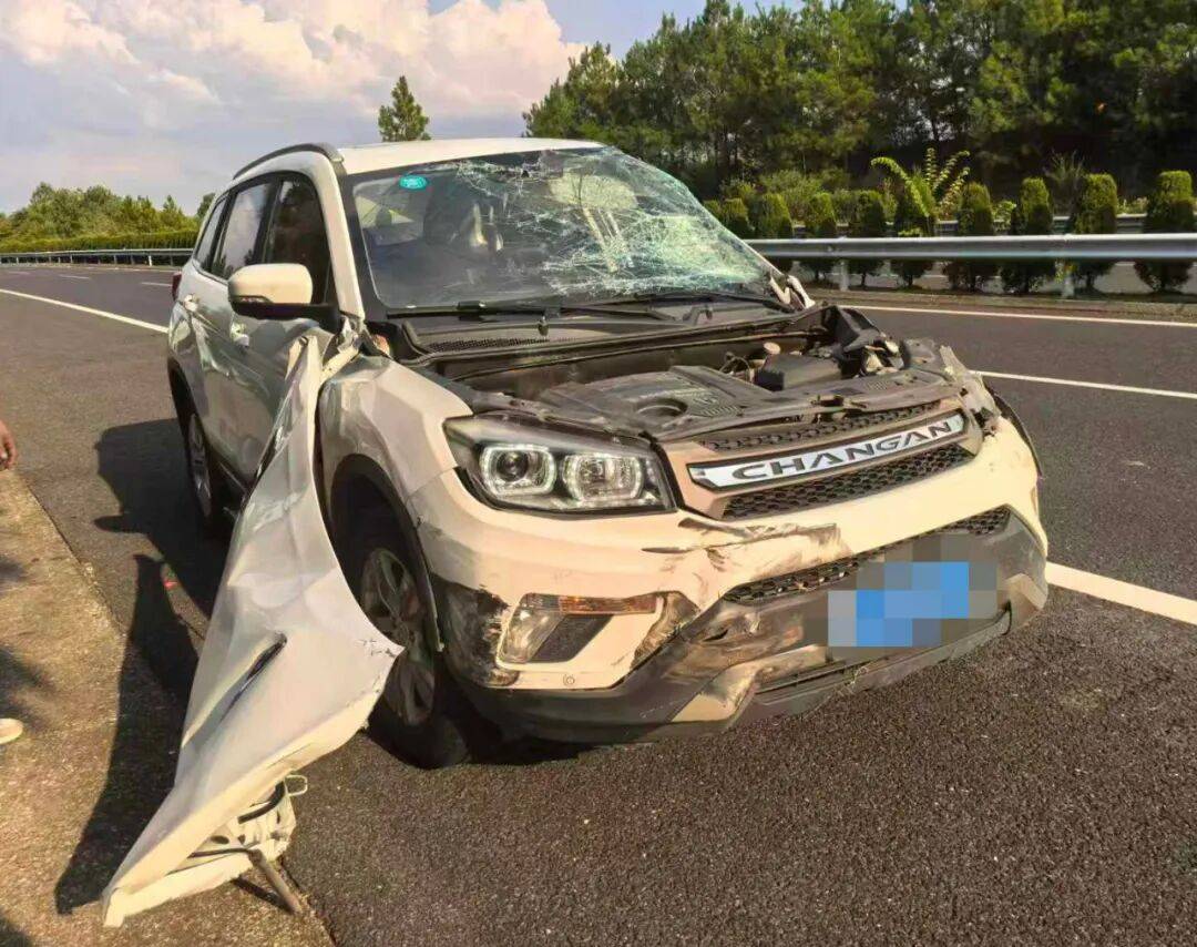 “我撒谎天打雷劈！”男子高速突然强行变道致翻车<strong></p>
<p>币安官网下载</strong>，反诬赖对方