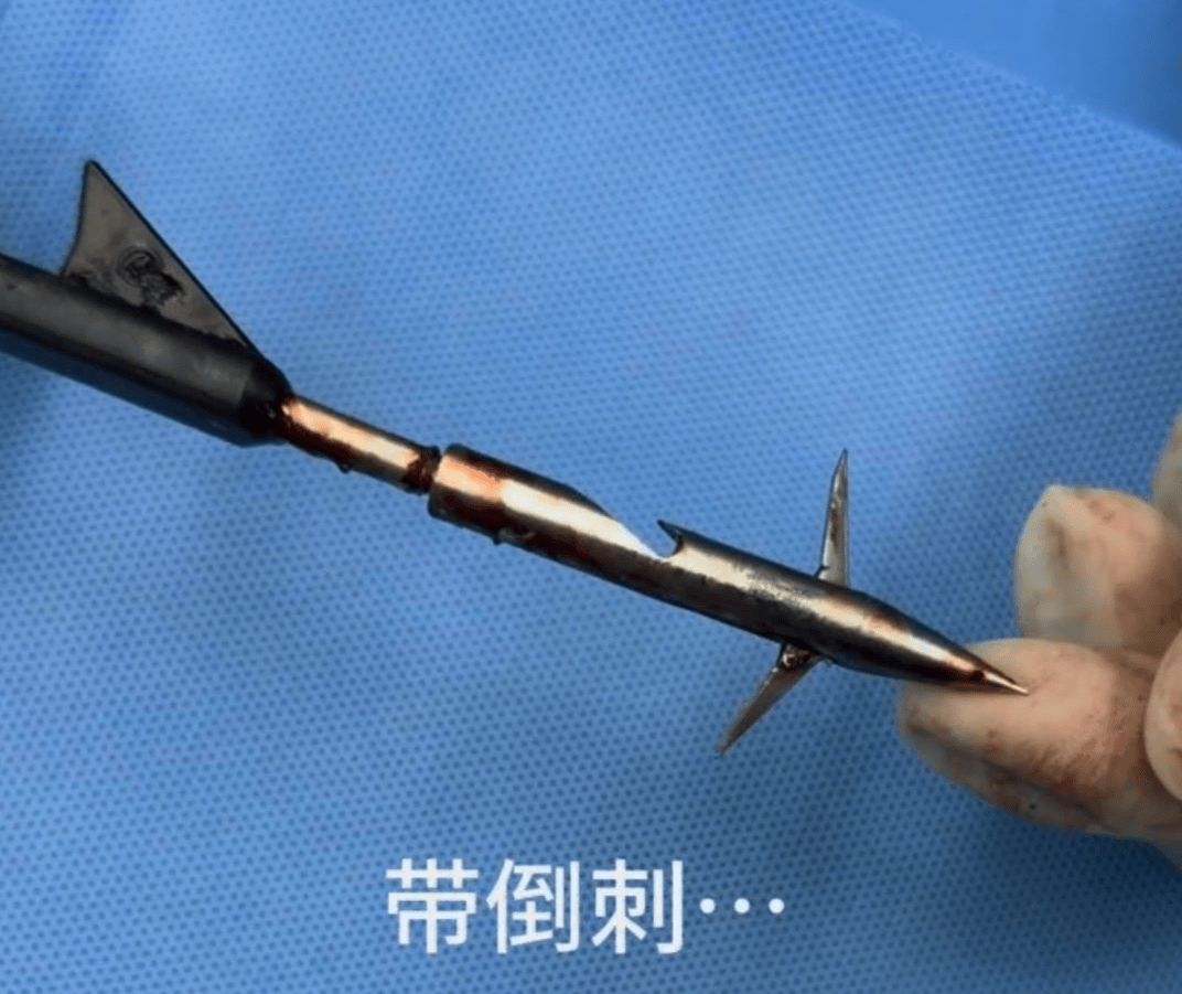 教育局回应“一教师用弓箭射杀小狗”:不实<strong></p>
<p>币安官网下载</strong>,小狗进学校前就被射伤