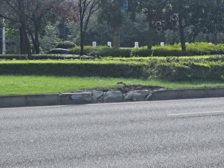 成都发生一起严重交通事故<strong></p>
<p>币安官网入口</strong>,上游新闻实地探访:燃烧留下的印记仍在