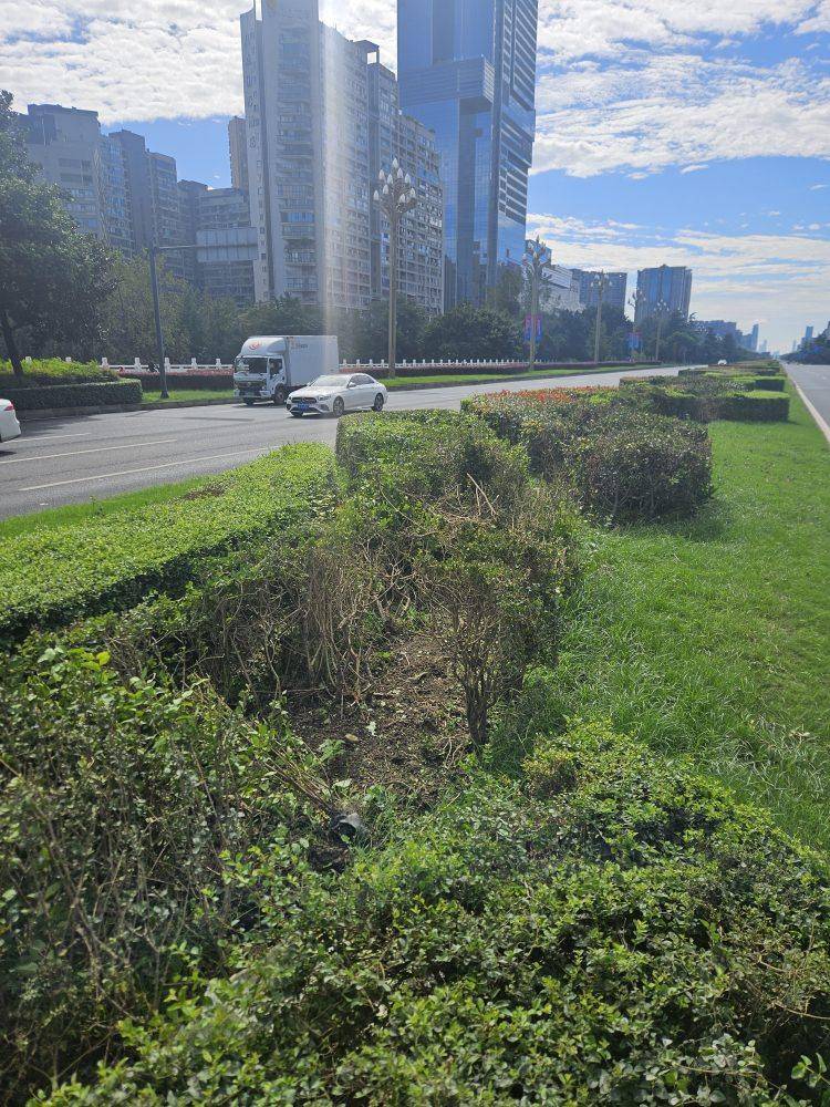 成都发生一起严重交通事故<strong></p>
<p>币安官网入口</strong>,上游新闻实地探访:燃烧留下的印记仍在