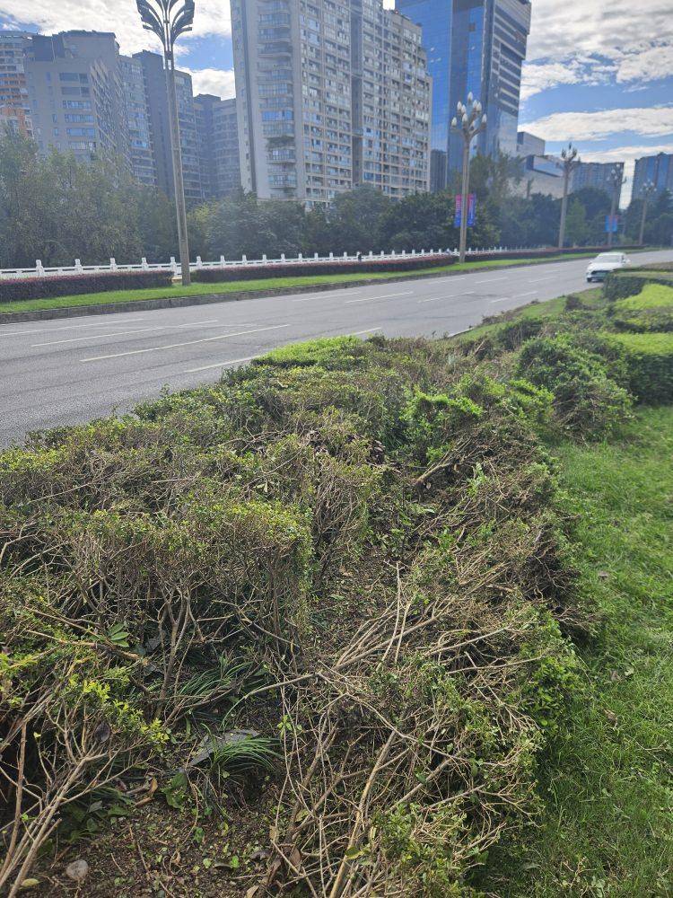 成都发生一起严重交通事故<strong></p>
<p>币安官网入口</strong>,上游新闻实地探访:燃烧留下的印记仍在