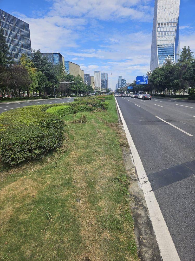 成都发生一起严重交通事故<strong></p>
<p>币安官网入口</strong>,上游新闻实地探访:燃烧留下的印记仍在