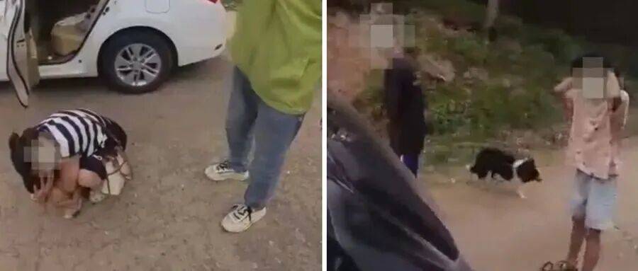 深圳一市民突遭马蜂围袭!已进入高发期<strong></p>
<p>币安官网入口</strong>,千万别招惹!