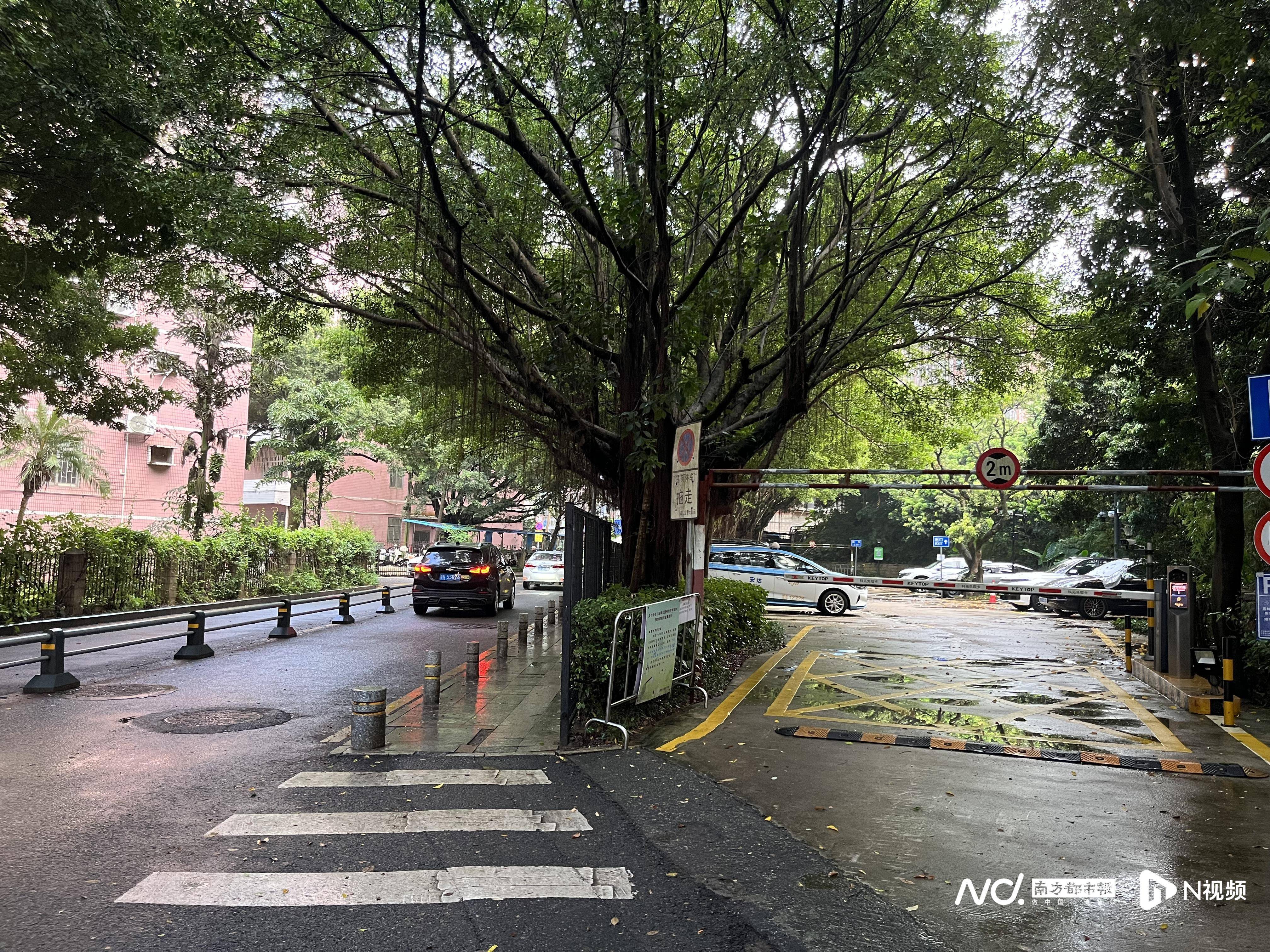 深圳一小区电动车管理引担忧<strong></p>
<p>安币网官网</strong>,部门责令整改后,记者实探