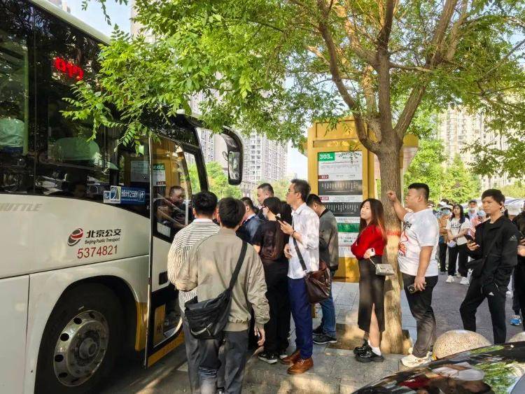 建议“公交老年卡高峰期禁用”<strong></p>
<p>安币官网</strong>,能解决问题吗?