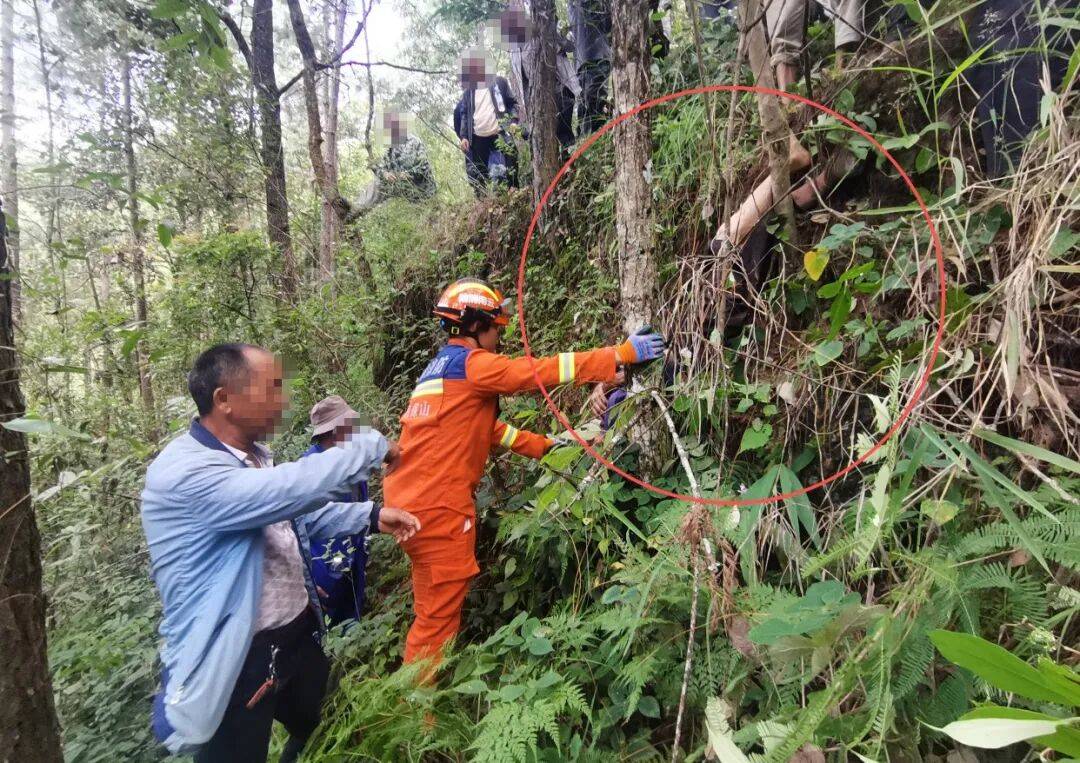 93岁老人进山失联<strong></p>
<p>安币官网</strong>，两天后发现他倒挂在树杈上苦撑……