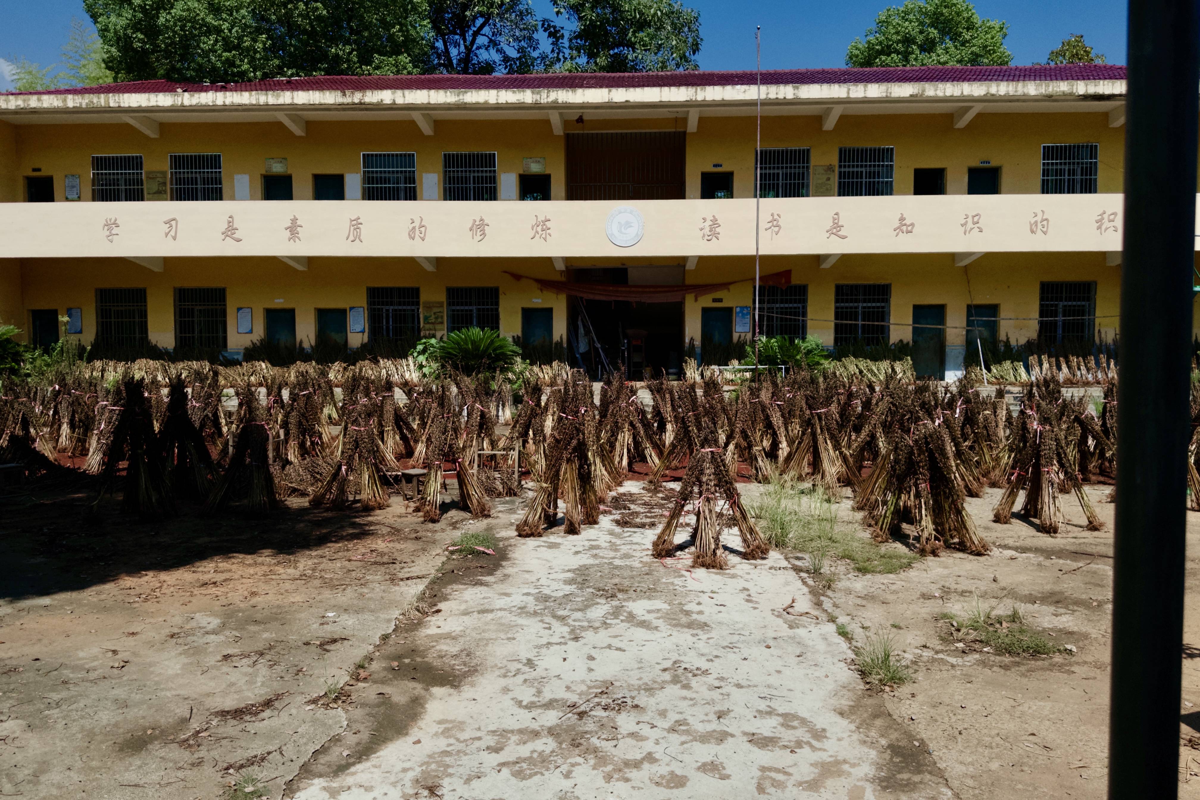 在县城当老师<strong></p>
<p>币安binance</strong>,没那么吃香了