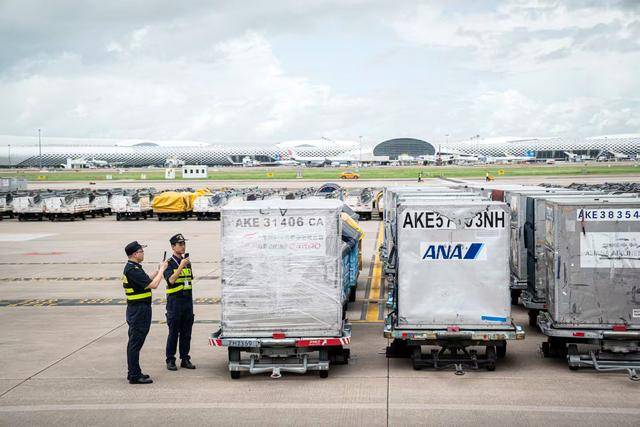 77.1万吨<strong></p>
<p>币安binance</strong>!深圳机场口岸货运吞吐量创历史新高