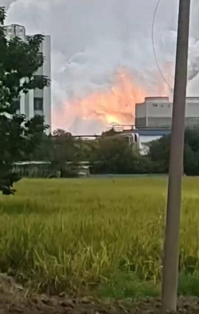 澄星股份工厂发生火灾?附近酒店:已灭火<strong></p>
<p>币安智能链</strong>,有刺激性气味,建议不开窗