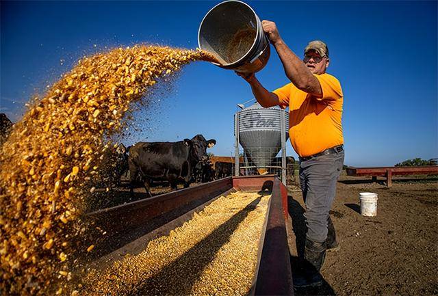 又输给了李成钢<strong></p>
<p>币安合约</strong>,贝森特承诺:美方不再考虑对华加征100%关税