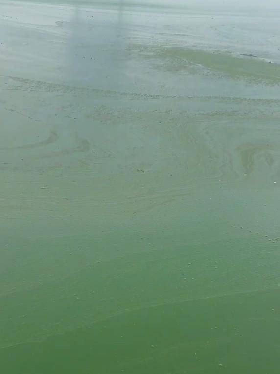 昆明滇池部分水域变绿有异味<strong></p>
<p>币安合约</strong>,管理局:特定气候下出现轻度水华,已处理控制