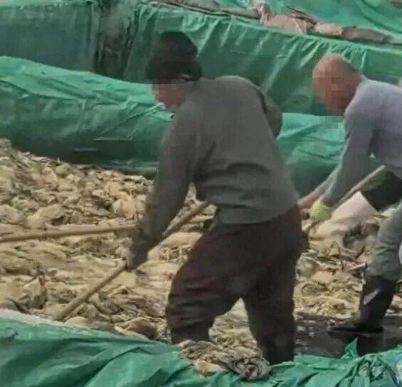 男子在酸菜池内抽烟吐痰<strong></p>
<p>ERC20</strong>，官方通报！