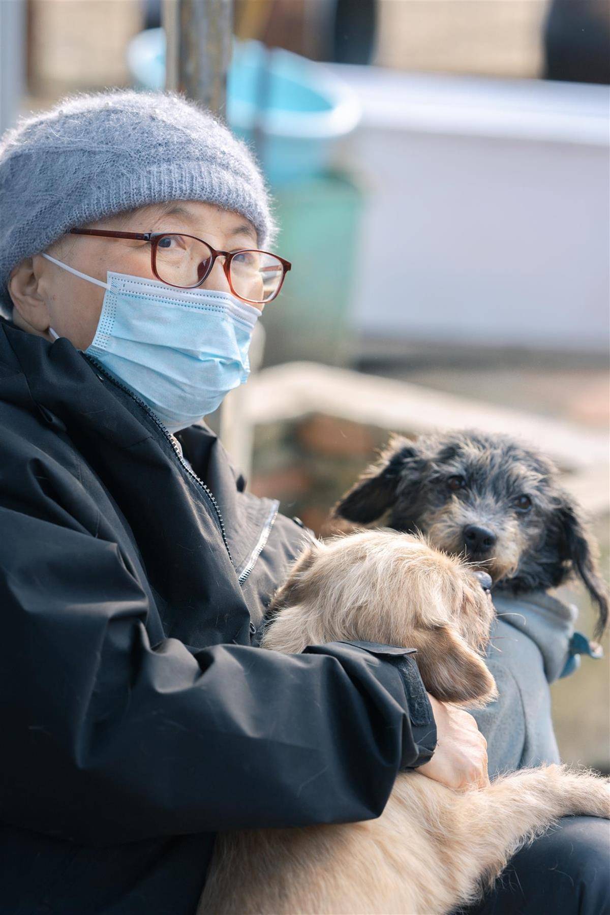 合肥卖房救助流浪狗的魏阿姨离世<strong></p>
<p>pancakeswap</strong>，病中仍然惦记着基地的600只流浪狗，工人：不敢相信世上还有这样执着的人