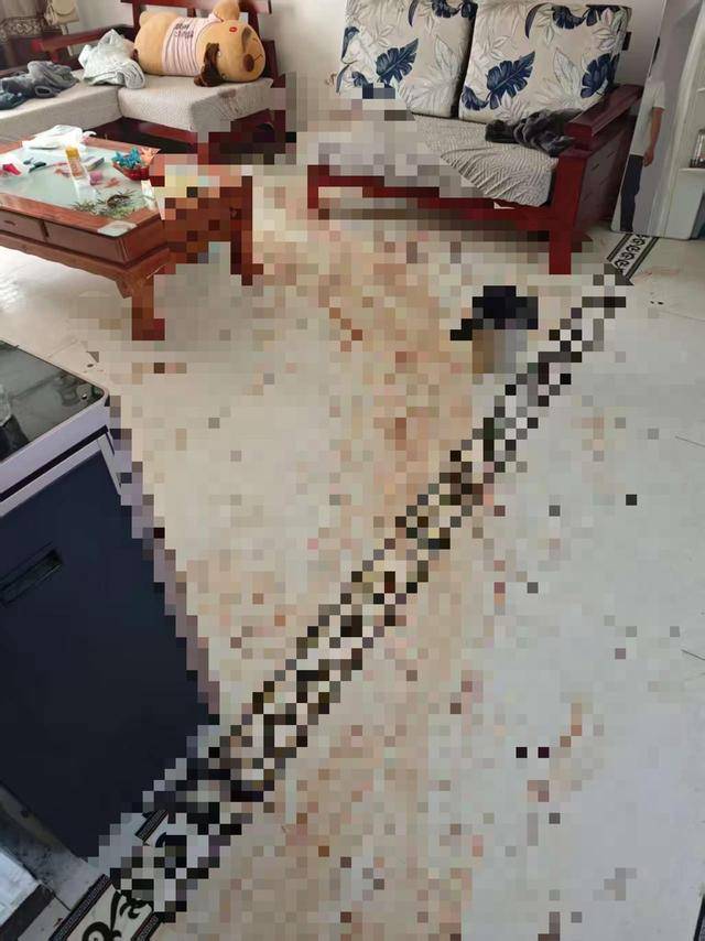 “女子出租屋遭男友持刀杀害”案明日开庭<strong></p>
<p>SHIB价格</strong>,家属发声:凶手从未道歉,我们不会谅解