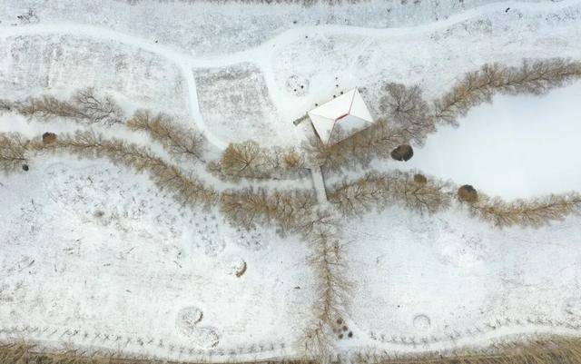 百年难遇“早立冬”来了<strong></p>
<p>SHIB价格</strong>!有啥讲究?早看早准备!