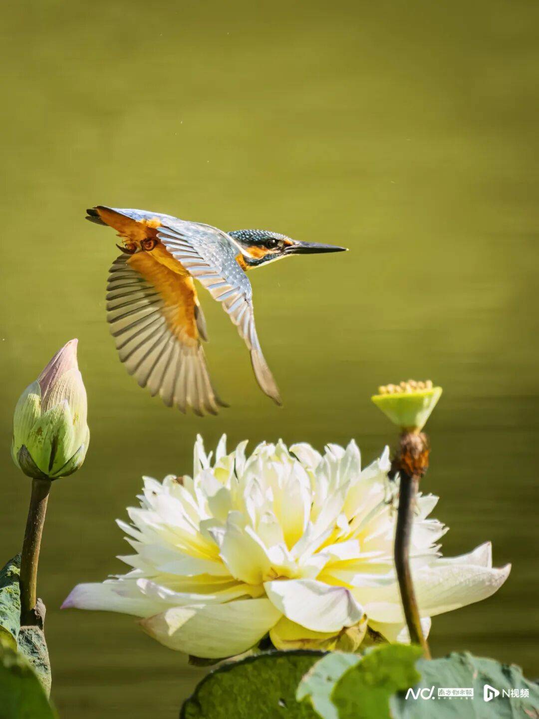 东莞最新发布：将严厉打击这些行为<strong></p>
<p>SHIB价格</strong>！