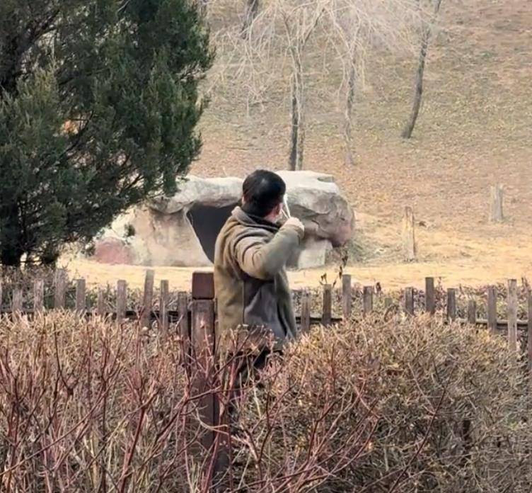 沈阳一男子动物园内用弹弓射老虎<strong></p>
<p>欧易OKEX官网</strong>,目击者称其“填装了弹丸”,打完后老虎爬起来了,园方:正在核实情况