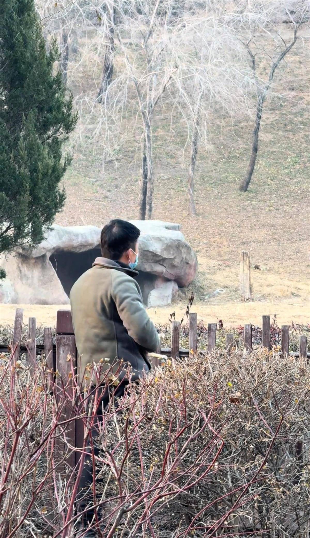 沈阳一男子动物园内用弹弓射老虎<strong></p>
<p>欧易OKEX官网</strong>,目击者称其“填装了弹丸”,打完后老虎爬起来了,园方:正在核实情况