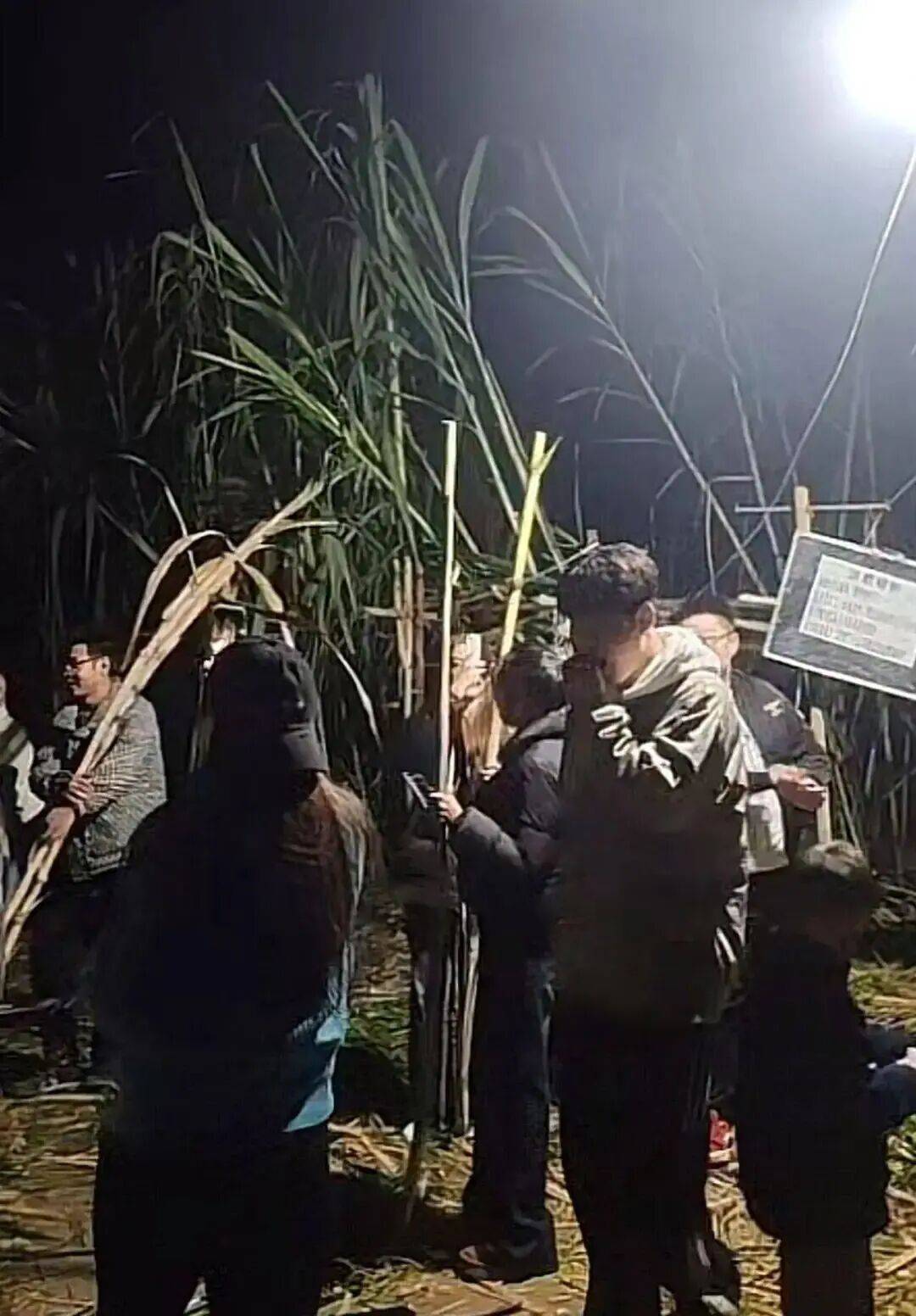 四川眉山“偷甘蔗农场”爆火!增设2.99元入场费后<strong></p>
<p>欧易OKEX官网</strong>,地里仍来了上千游客,“偷甘蔗”被逮到的人要表演才艺,老板:日销售有时近万元