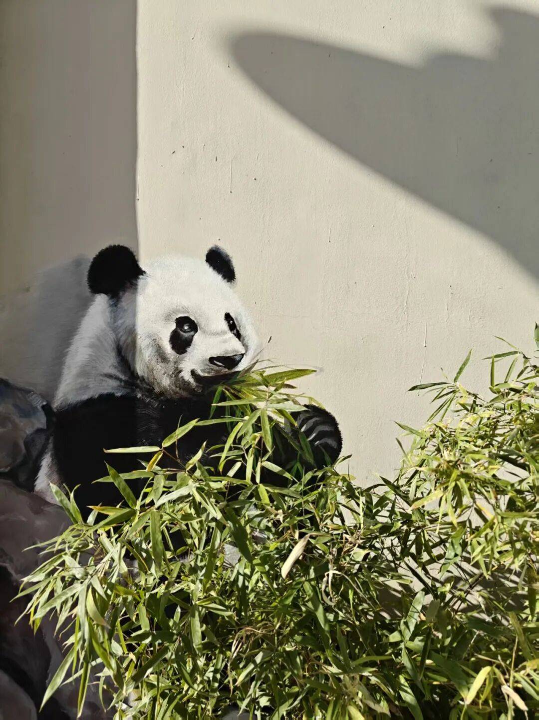 “颜值”出圈 天津和平区独山路这面彩绘墙“亮”<strong></p>
<p>欧易OKEX官网下载</strong>了