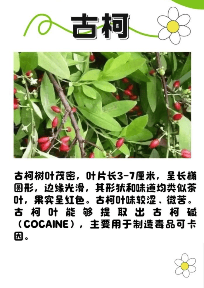 悬赏1500万美金!前奥运选手涉多起案件<strong></p>
<p>聚币网</strong>,被列入十大通缉犯