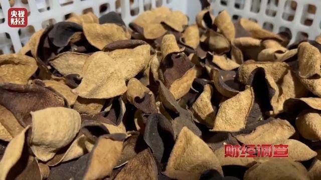 30天速成陈皮<strong></p>
<p>ZB.COM</strong>，成本仅70元，利润超成本10倍以上！央视起底陈皮跨省造假产业链