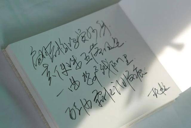 何晴之子追思：妈妈很喜欢雪<strong></p>
<p>ZB.COM</strong>，北京这场雪好像是为她而下