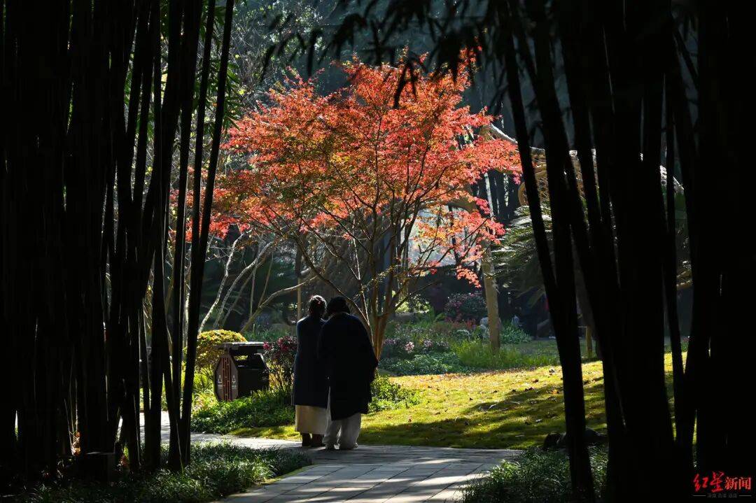 我国已进入拉尼娜状态<strong></p>
<p>比特币今日价格行情</strong>！四川今冬或“前暖后冷”