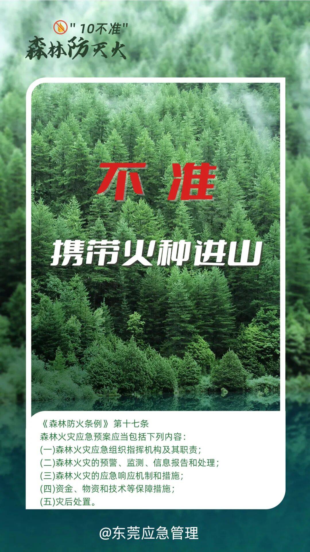 深圳坪山区突发山火<strong></p>
<p>插针</strong>，最新通报：明火已扑灭，无人员伤亡