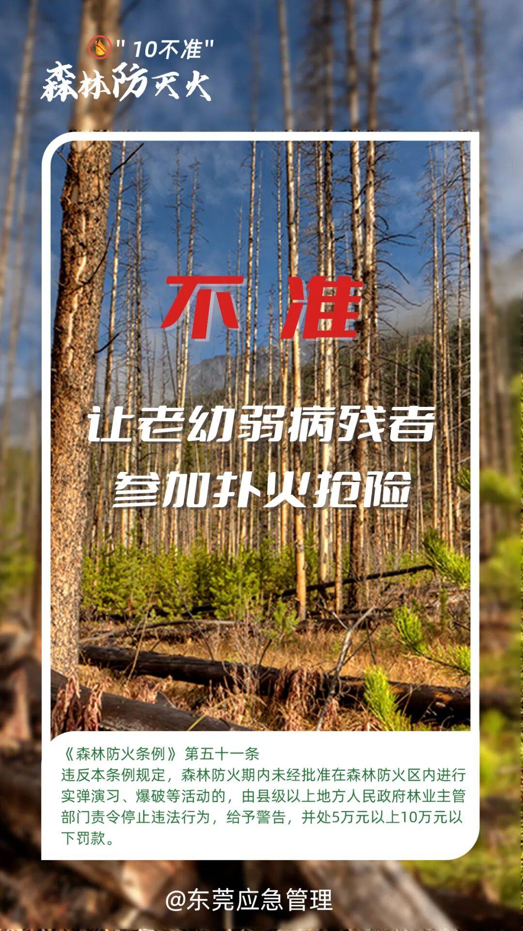 深圳坪山区突发山火<strong></p>
<p>插针</strong>，最新通报：明火已扑灭，无人员伤亡