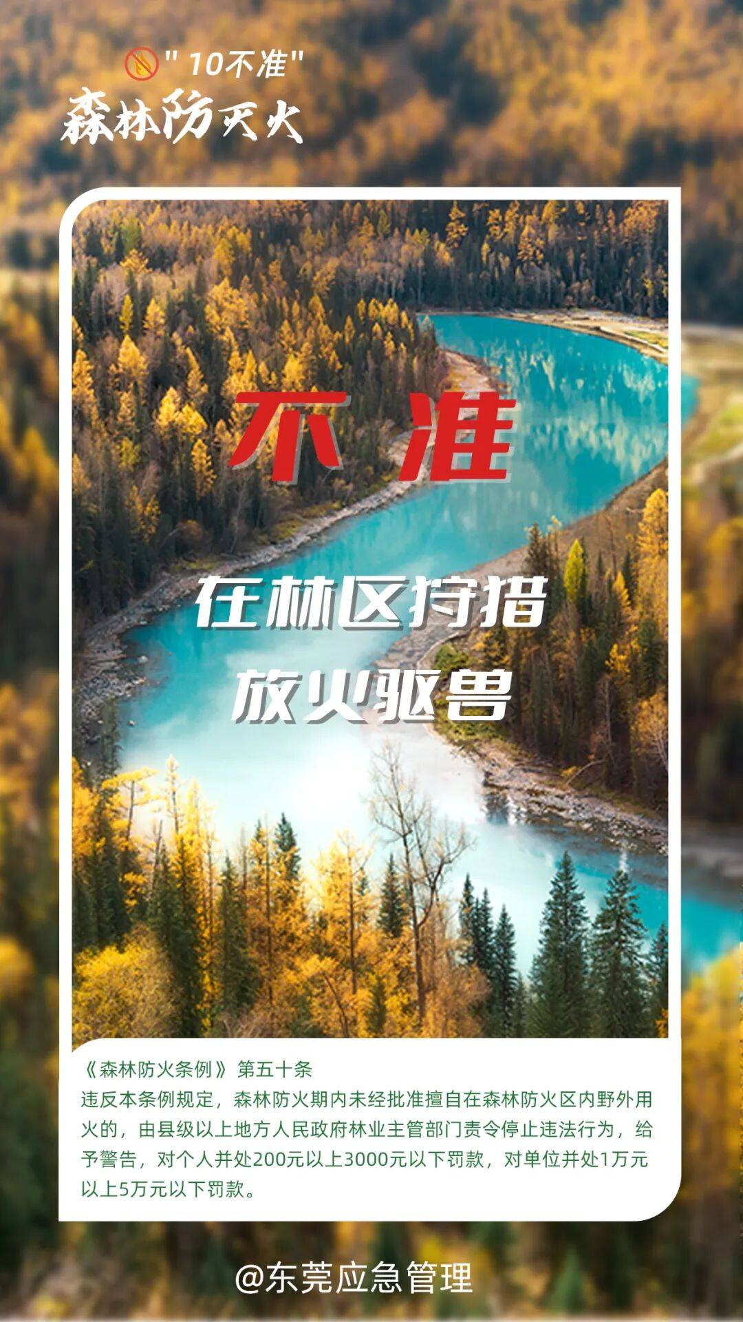 深圳坪山区突发山火<strong></p>
<p>插针</strong>，最新通报：明火已扑灭，无人员伤亡