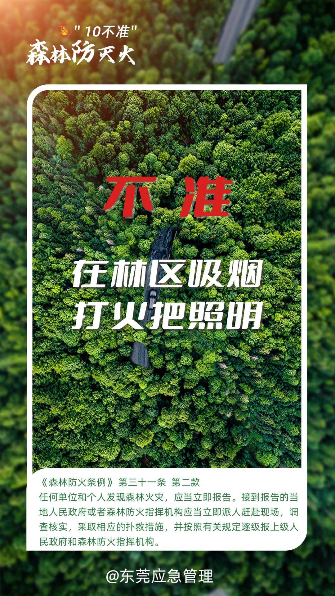 深圳坪山区突发山火<strong></p>
<p>插针</strong>，最新通报：明火已扑灭，无人员伤亡